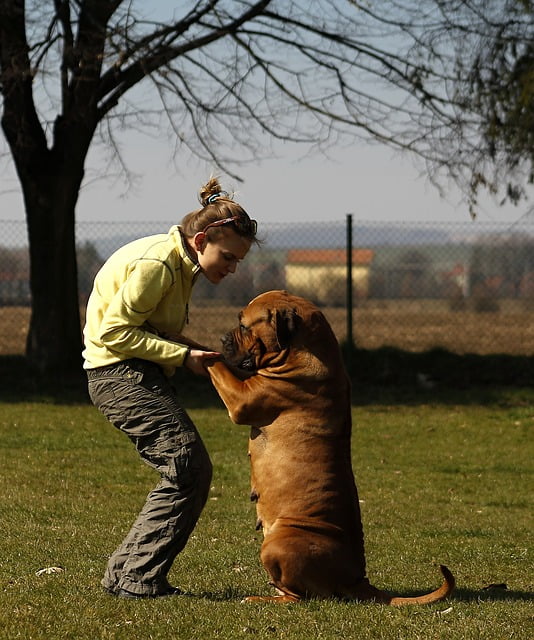Do you like to have a pet?