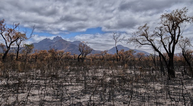 Bushfires in Australia
