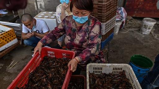 Are wet markets the hub to deadly viruses?