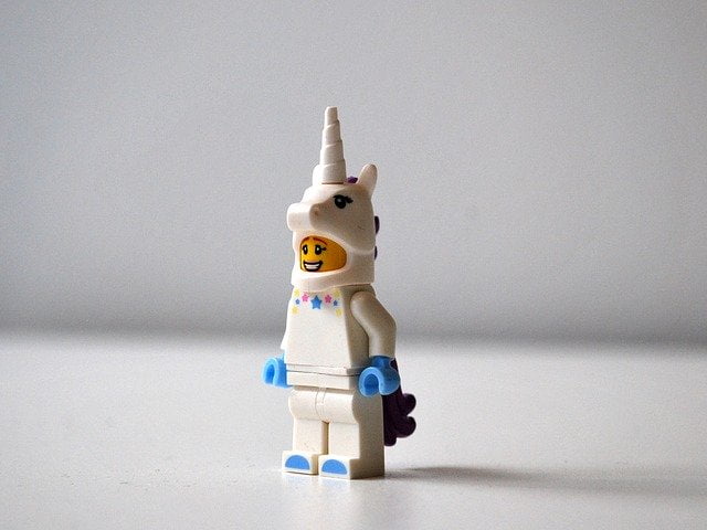 What are Unicorns?